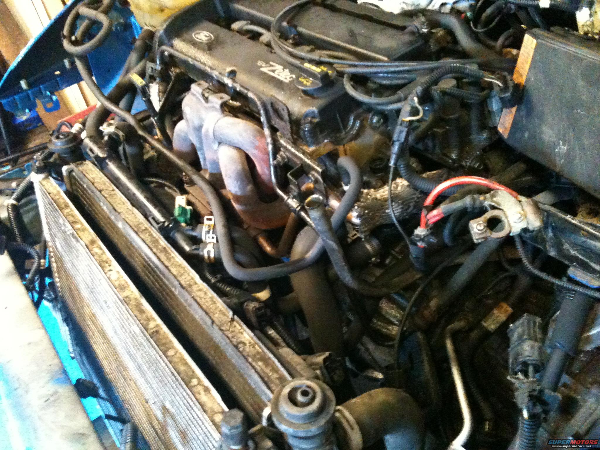 2002 Ford Focus photo