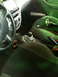 2002 Ford Focus