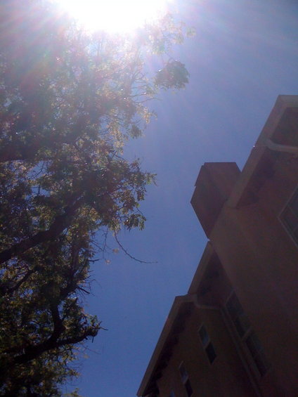 Looking up at a building and tree against a bright blue sky with sun glare