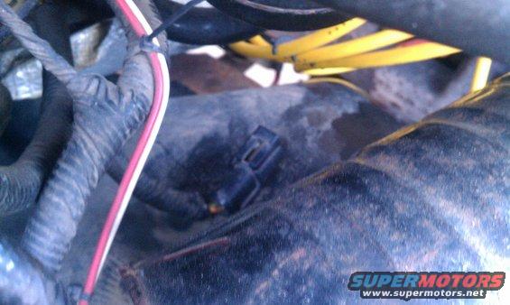 Close-up of engine wiring with a black connector and yellow wires