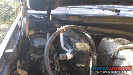 Engine bay with hoses and components visible