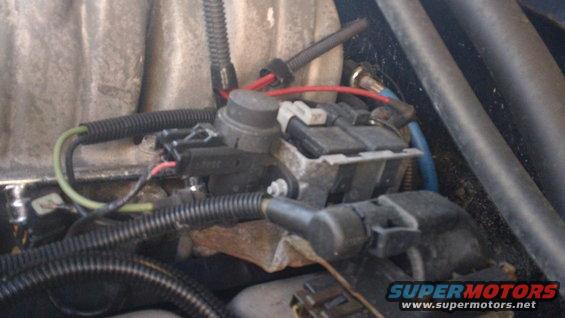 Close-up of engine wiring harness and electrical connectors