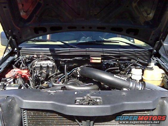 my-roush-motor.jpg Troyer Performance Tuned and modded Power Plant