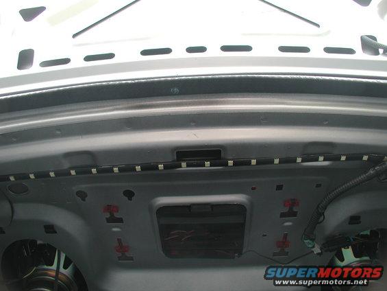 LED strip light installed in trunk