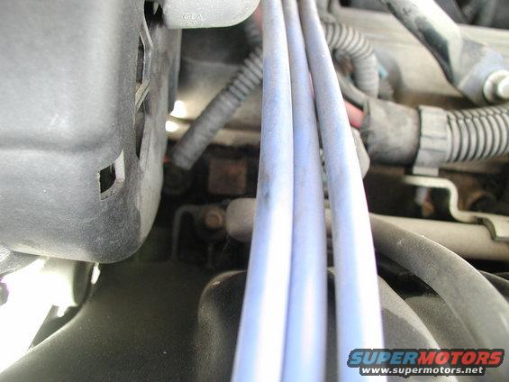 Close-up of spark plug wires in a car's engine bay