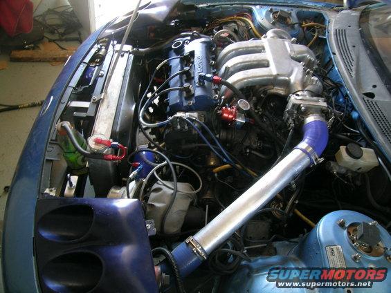 dscn2954.jpg 