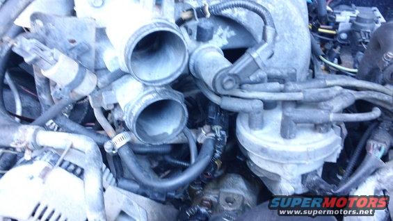 engine bay showing intake manifold, distributor, and hoses