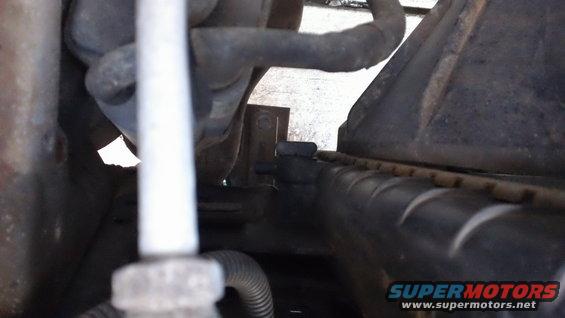 Radiator and hoses in engine bay