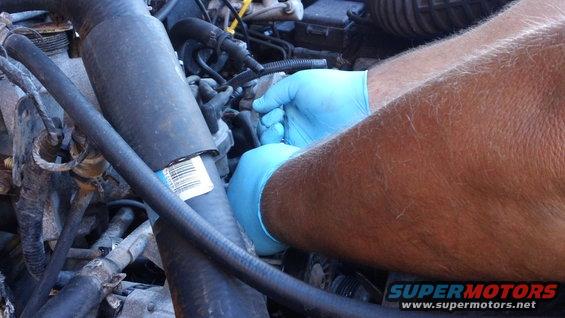 Hands in blue gloves working on hoses in an engine bay. Part number visible on a hose