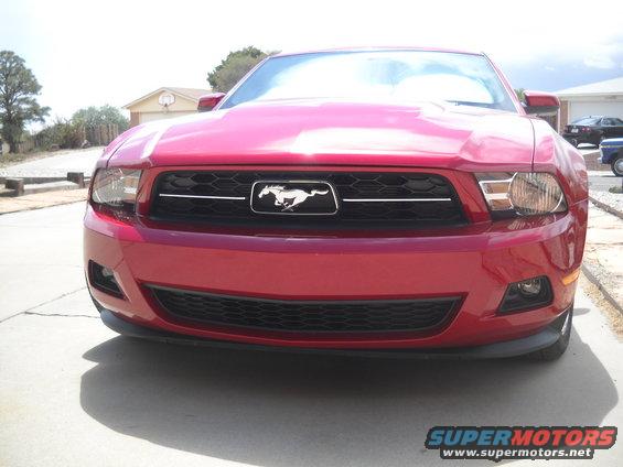 Red Ford Mustang front end, close-up on grille with running horse emblem. Headlights visible