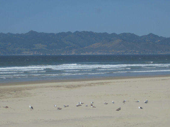 Beach with waves, sand, seagulls, and distant mountains under a clear blue sky