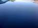 1985 Ford Mustang - Reflection of trees and a fence on a dark blue car hood.