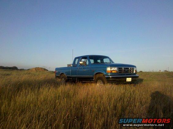 Playing in the grass