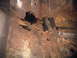 1973 Ford Ranchero - front floor pan