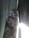 p_00085.jpg