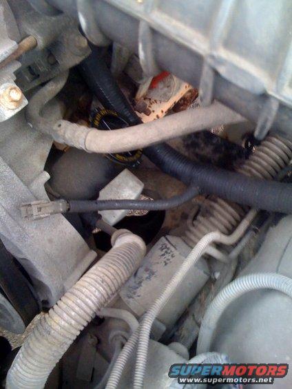 Loose plug
