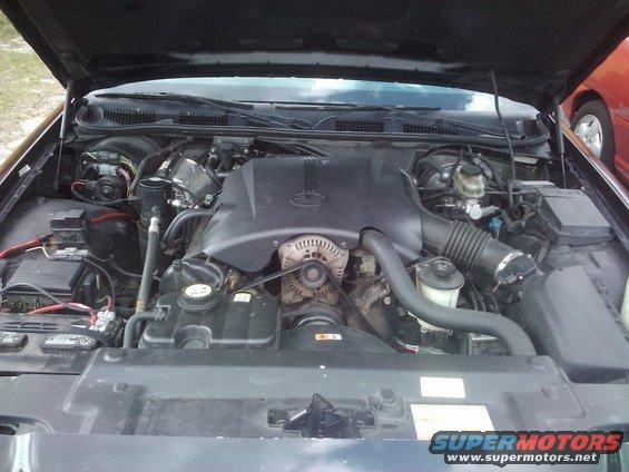 2001 Ford Crown Victoria engine bay with hood open. Another car is visible on the right