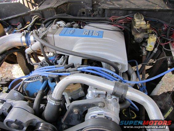Engine bay with silver 5.0 intake manifold and blue spark plug wires