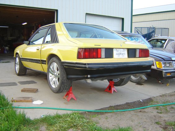 Yellow 1979 Ford Mustang coupe, rear view, on lift with red jack stands
