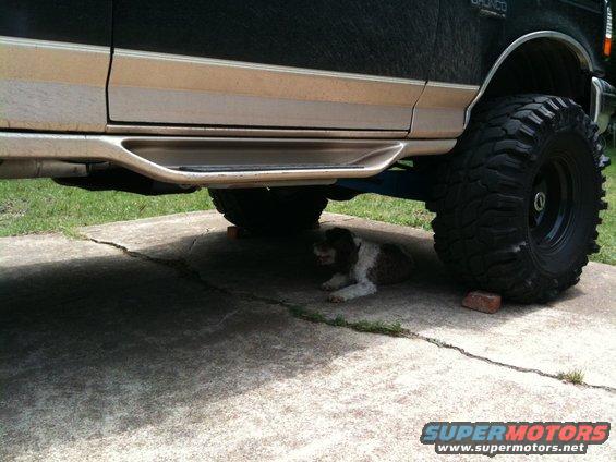1996 Ford Bronco side view showing running boards and large tires, with a dog lying underneath
