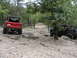 1967 Ford Mustang - Two vehicles traverse a challenging, rocky path through a dense forest.
