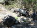 1967 Ford Mustang - A custom off-road buggy navigates a challenging rocky terrain with a spectator observing the climb.