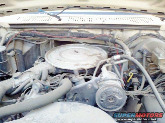 engine bay with hoses, wires, and air cleaner assembly