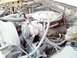 1985 Ford F-250 - The engine bay of a beige truck, with visible V8 engine components and a dusty appearance.