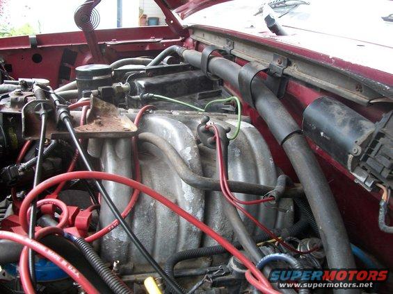 Engine bay of a 1994 Ford F-150 with red and black hoses