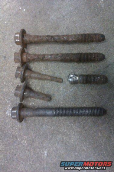 Several rusty bolts on a concrete surface