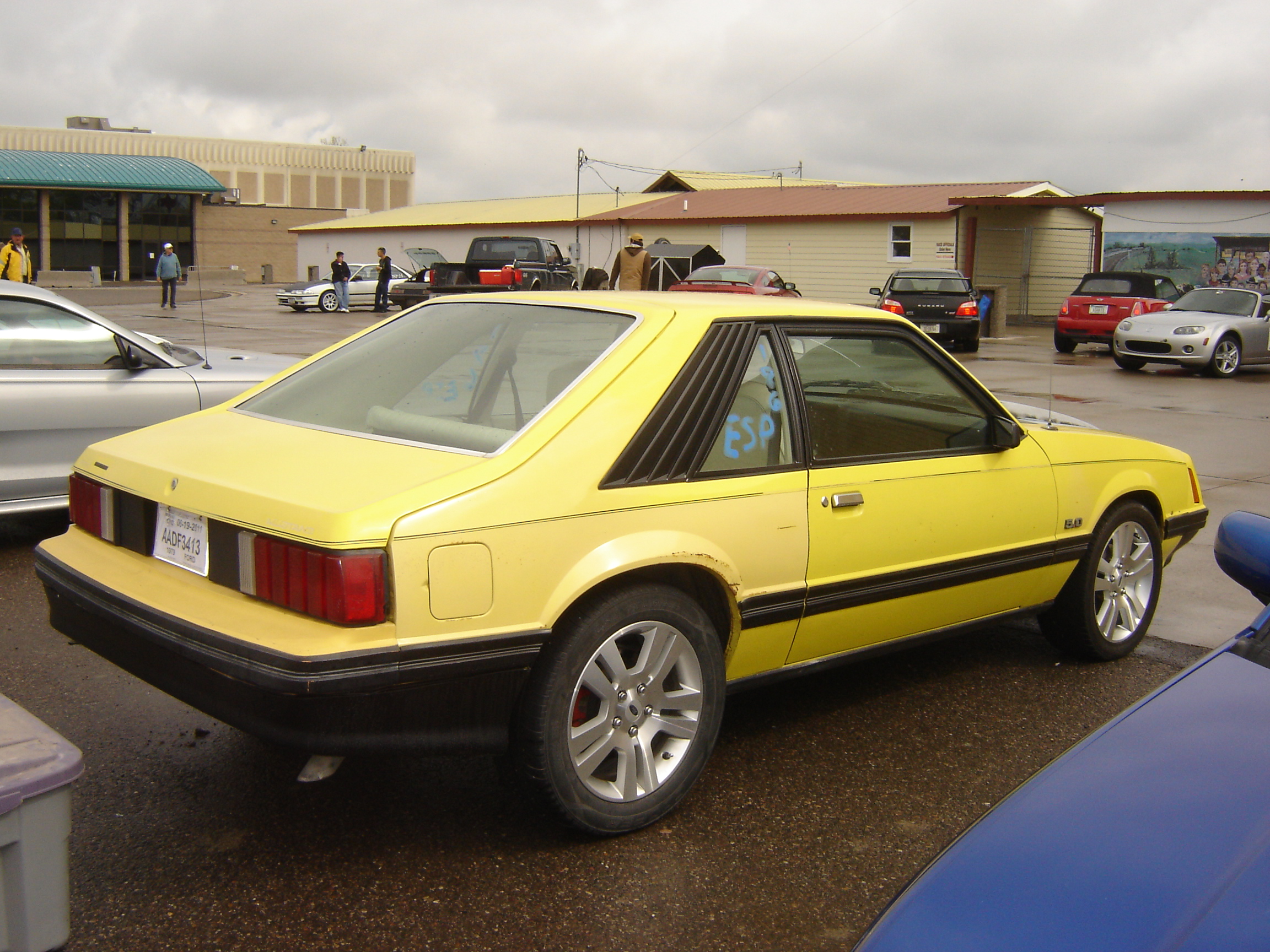 1979 Ford Mustang photo