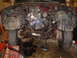 DSC01411.JPG