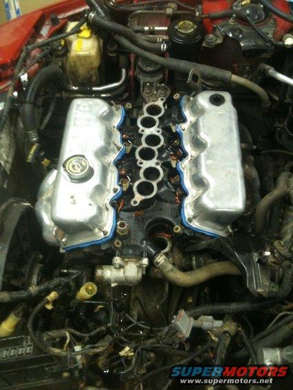 Engine bay with intake manifold removed, showing valve covers and wiring