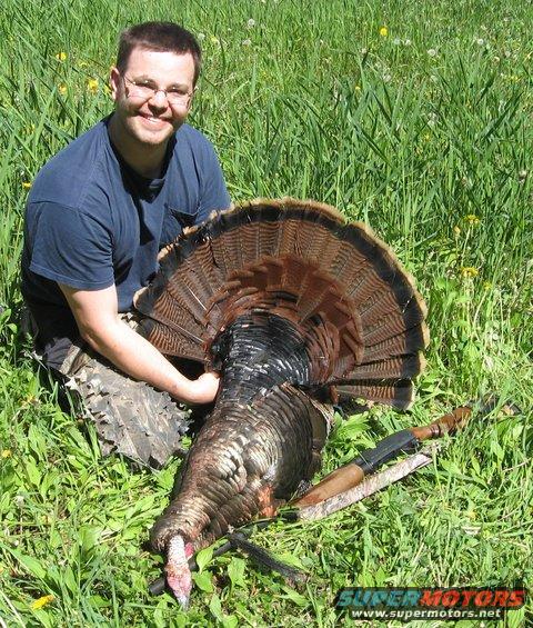 2011turkey-003.jpg 23lbs, 12" beard, 1 3/4" spurs