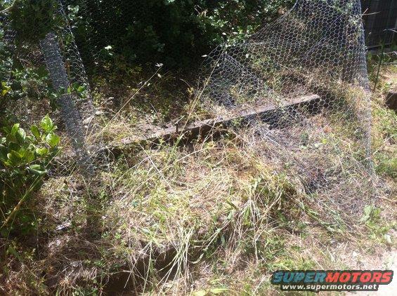 Overgrown yard with chicken wire fence and Supermotors logo