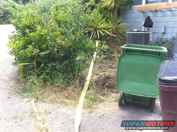 Two trash cans next to bushes and an air conditioning unit
