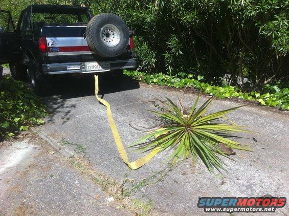 Black Ford Bronco with spare tire on rear, yellow tow strap attached to bumper