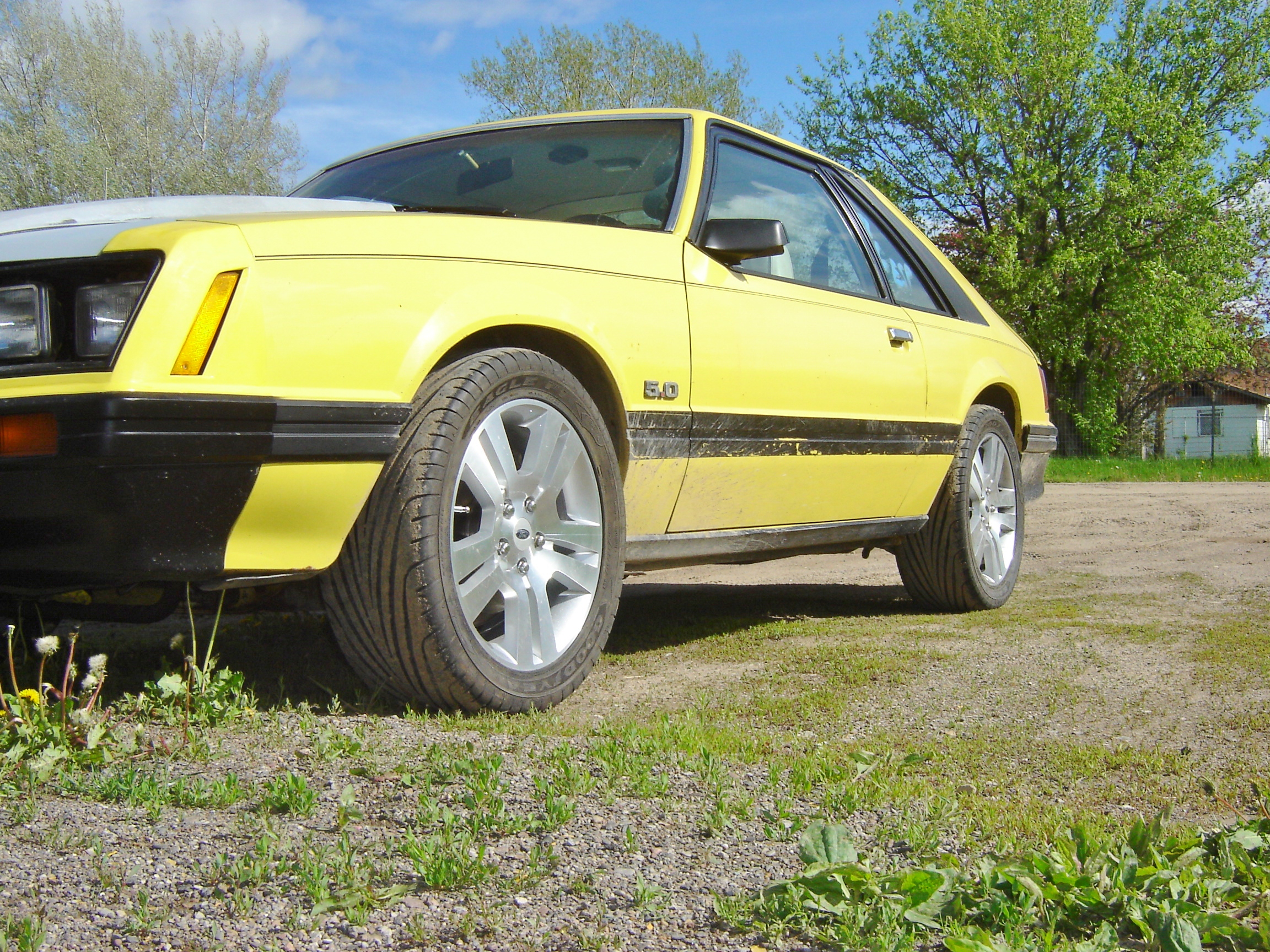 1979 Ford Mustang photo