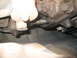2007 Subaru Impreza - Undercarriage view shows various mechanical components and fasteners, some showing signs of rust and grease buildup.