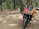 2006 Honda CBR-RR
