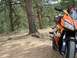 2006 Honda CBR-RR