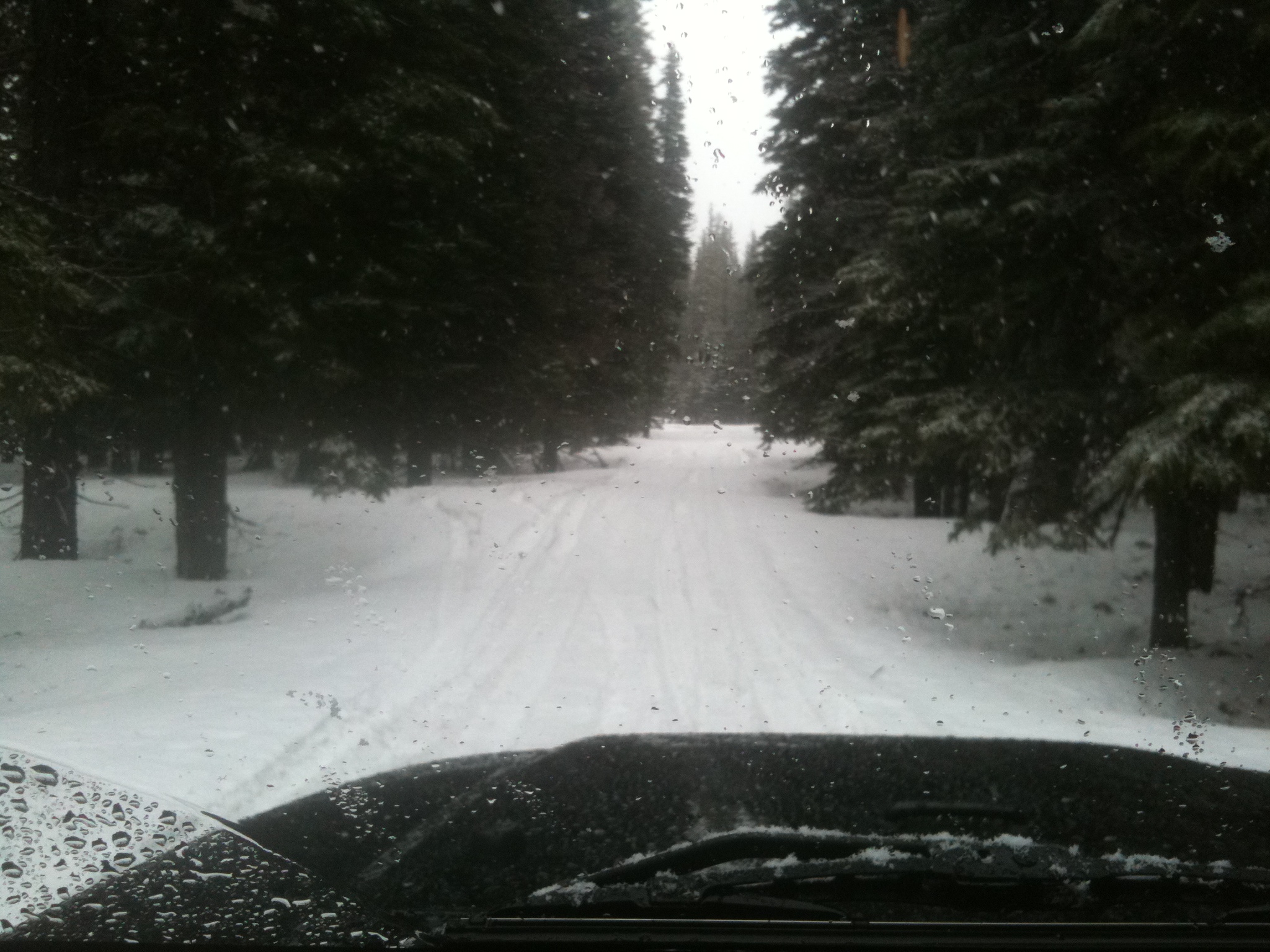 snow wheeling