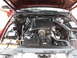 2000 Ford Crown Victoria - Engine bay of a 2000 Ford Crown Victoria, showing the V8 engine and various components.