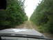 1990 Ford Bronco - Driving down a dirt road through a forest, with a white star painted on the vehicle's hood.