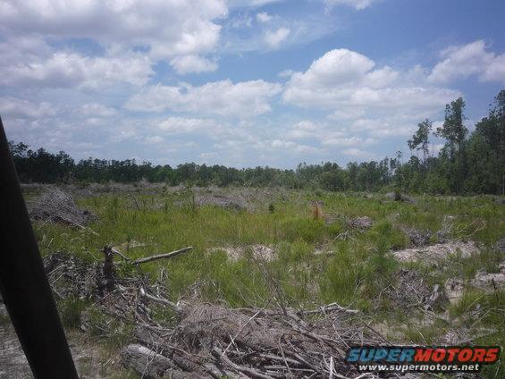 Cleared land with grass, trees, and debris under a cloudy sky. Watermark reads SUPER MOTORS