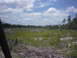 1990 Ford Bronco - Cleared land with trees and debris under a cloudy sky. Watermark reads SUPER MOTORS.