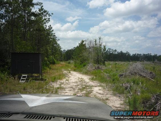 Hood of a vehicle with a white star painted on it, driving on a dirt road towards a wooded area with a small building
