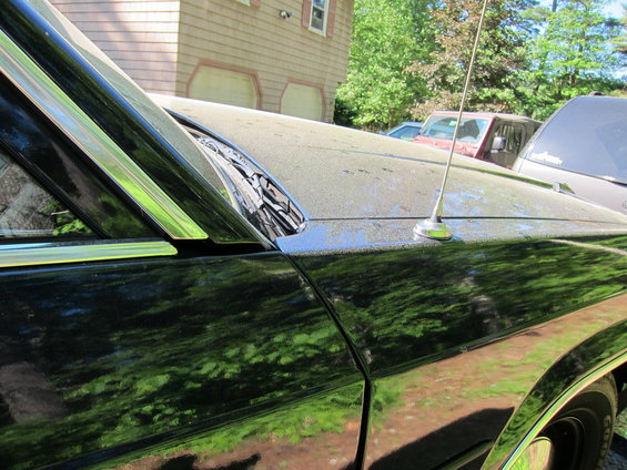 picture-025.jpg 
