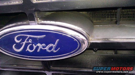 Ford emblem on a dark grille, with a radiator visible behind it