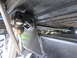 1974 Ford Bronco - Custom suspension modifications are visible on the underside of the vehicle, including a sway bar and shock absorber mount.